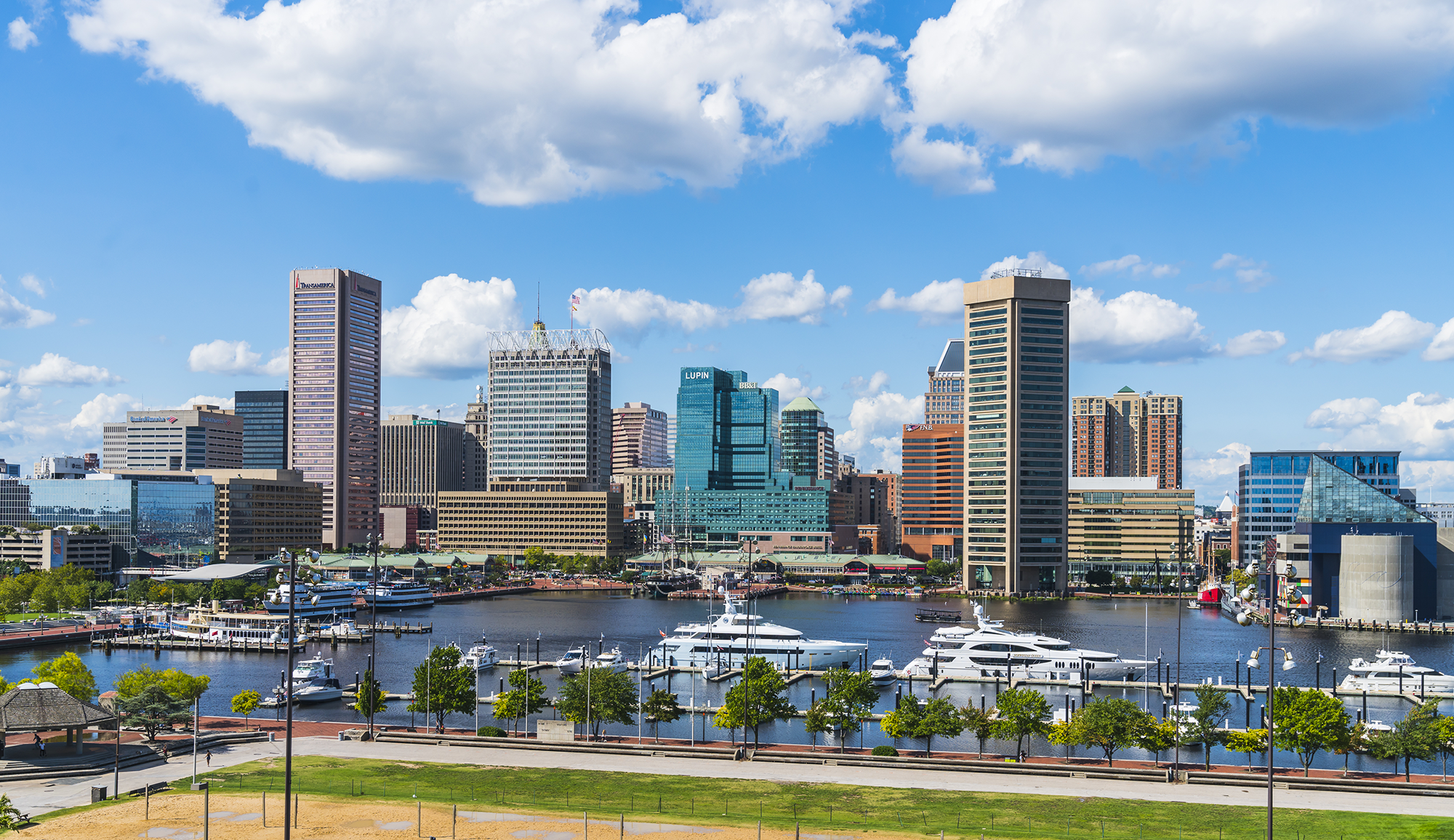 Welcome to Baltimore - Skyline