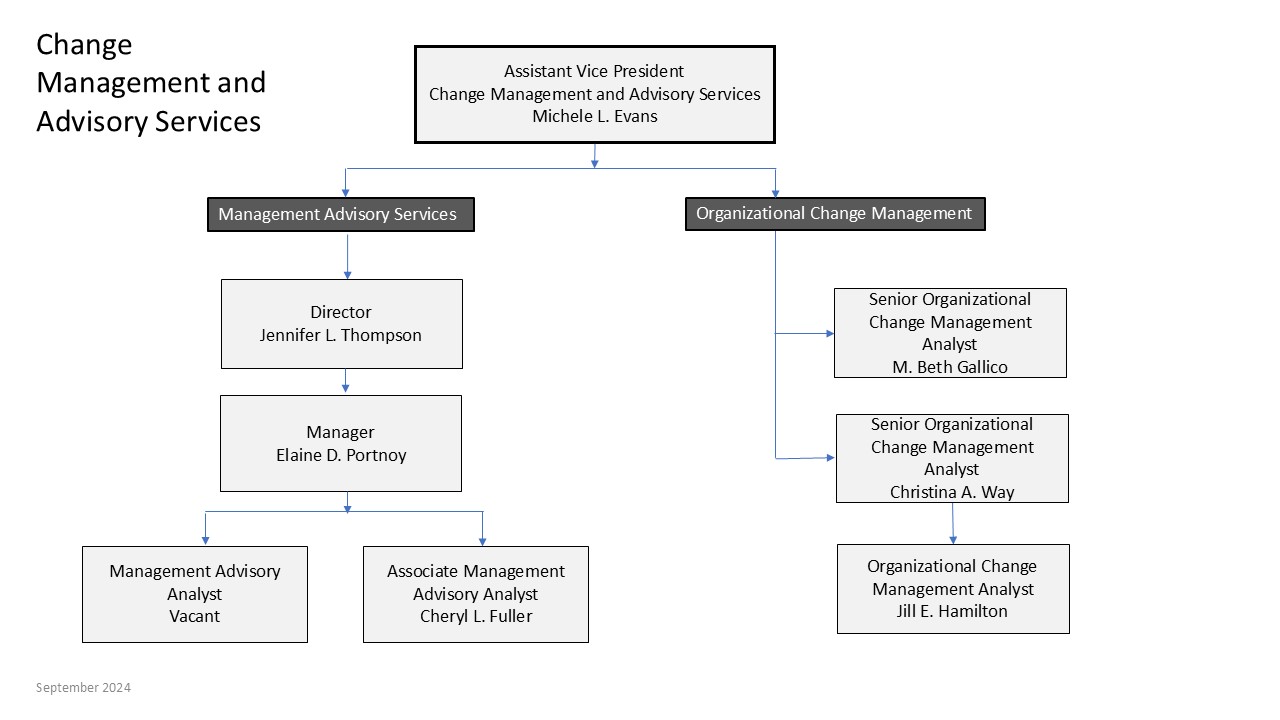 Assistant VP Michele Evans oversees two groups. The first, Management Advisory Services, is led by Director Jennifer Thompson and Manager Elaine Portnoy who supervises Management Advisory Analyst Cheryl Fuller and a vacant Associate Analyst. Michele also oversees the Organizational Change Management (OCM) group including Sr OCM Analysts Beth Gallico, Christina Way & Jill Hamilton, Analyst.
