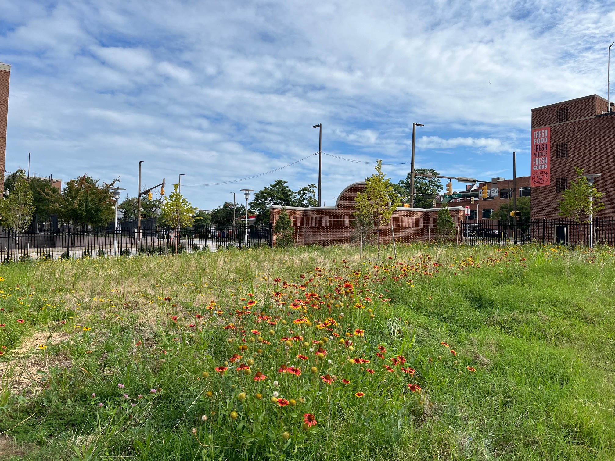 gateway to campus at Saratoga and Greene