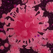 Coronavirus particles