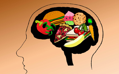 Researchers Discover New Neurons that Suppress Food Intake